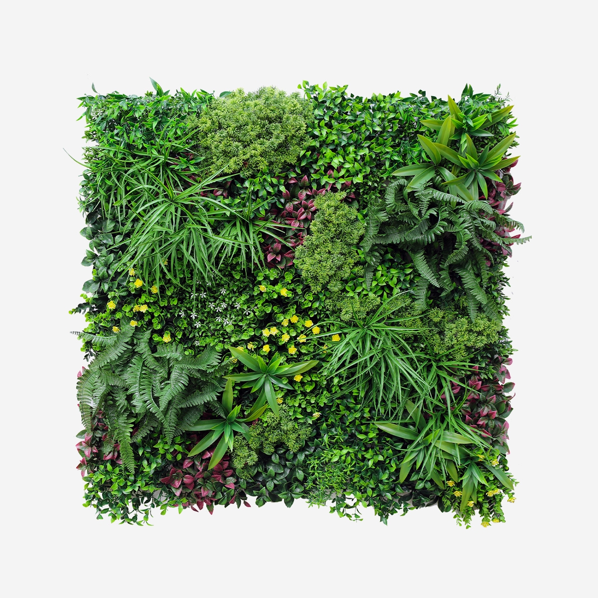 Haie artificielle réaliste 100x100 cm plante 3D extérieur jardin Ilex Promotion