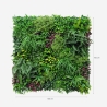 Haie artificielle réaliste 100x100 cm plante 3D extérieur jardin Ilex Réductions
