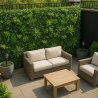 Haie de jardin artificielle en treillis extensible 200x100cm Laurus Offre