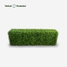Haie artificielle en buis pour clôture de jardin 158x33x56cm Robuk Offre