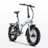 Vélo électrique pliant ebike vélo RSIII 250W batterie au lithium Shimano Choix