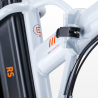 Vélo électrique pliant ebike vélo RSIII 250W batterie au lithium Shimano Achat