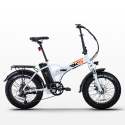 Vélo électrique pliant ebike vélo RSIII 250W batterie au lithium Shimano Catalogue