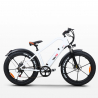 Vélo électrique ebike cruiser custom 250W RKS XR6 Shimano Réductions