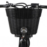 Vélo électrique ebike pour femme avec panier 250W RKS XT1 Shimano Choix