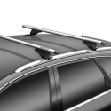 Barres de toit universelles avec rails surélevés Tiger Silver Modèle