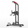 Chaise romaine musculation multifonction pull-up Power Tower Hannya Offre