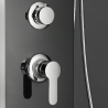 Colonne de douche en acier affichage LED cascade d'hydromassage Abano Catalogue