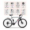 Vélo électrique avec cadre en aluminium ebike pour homme 250W Shimano W6 Caractéristiques