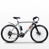 Vélo électrique avec cadre en aluminium ebike pour homme 250W Shimano W6 Dimensions