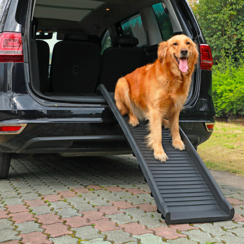 Cody Rampe pliable et portable en plastique de voiture pour votre chien