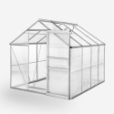 Serre de jardin aluminium polycarbonate avec porte et fenêtre 183x245x205cm Laelia Promotion