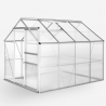 Serre de jardin aluminium polycarbonate avec porte et fenêtre 183x245x205cm Laelia Vente
