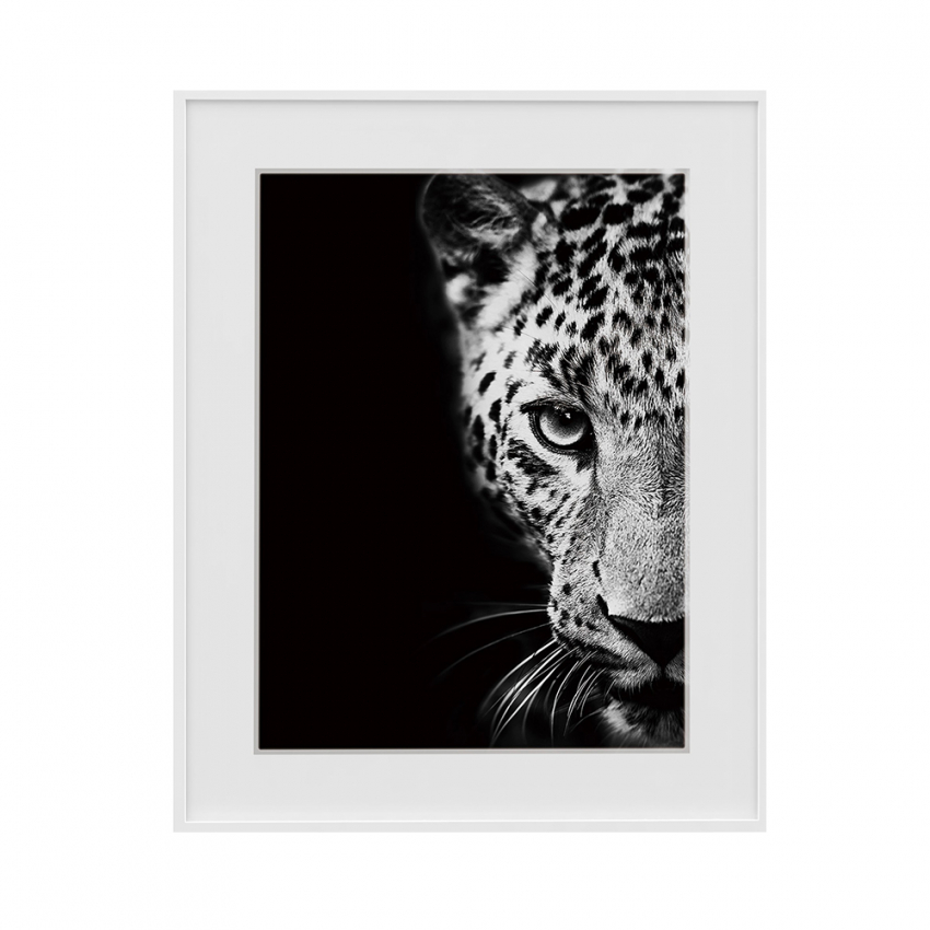 Photo noir et blanc d'Animaux - Tableau noir et blanc d'Animaux - Editions  Limitées - Achat / Vente