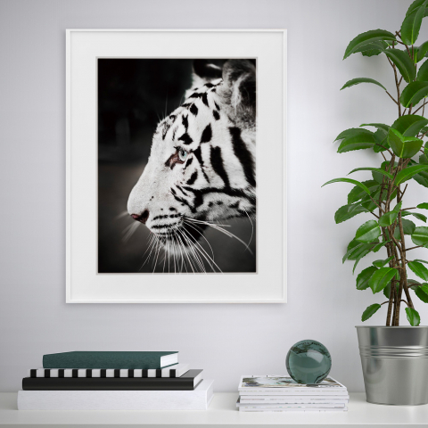 Tableau photographie noir et blanc tigre animaux 40x50cm Variety Harimau Promotion