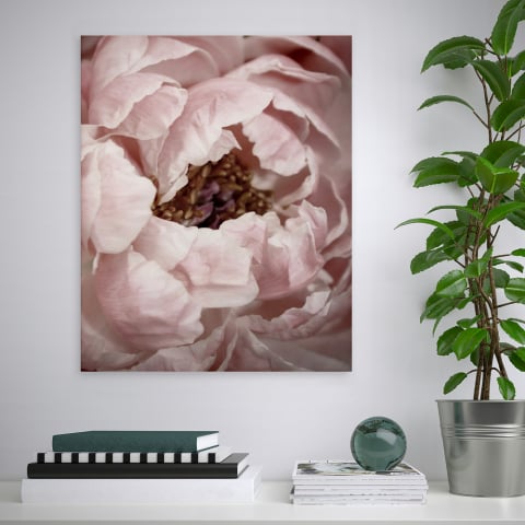 Impression fleurs cadre nature thème floral cadre 40x50cm Variety Duwa