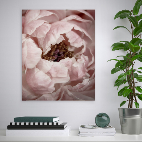 Impression fleurs cadre nature thème floral cadre 40x50cm Variety Duwa Promotion