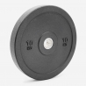 Lot de 2 disques olympiques haltère 10 kg en caoutchouc pour cross training Bumper HD Offre