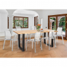 Ensemble 6 Chaises Design Transparentes et Table À Manger 180x80cm Industriel Bois et Métal Vice Choix