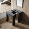 Console de table à manger extensible 78x47-299cm anthracite Allin Report Remises