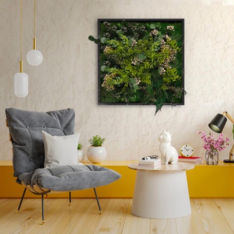 Photos de plantes fleurs plantes murales stabilisées ForestMoss Persephone Promotion